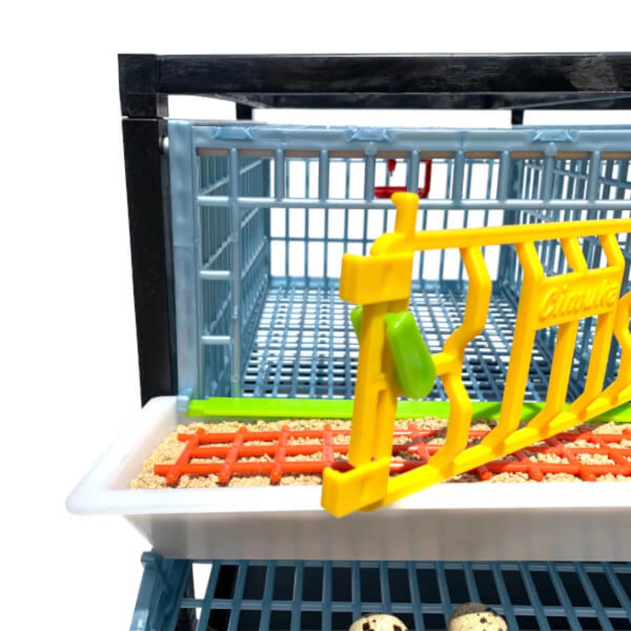 Quail Cage - Double Layer Addition - Image 6