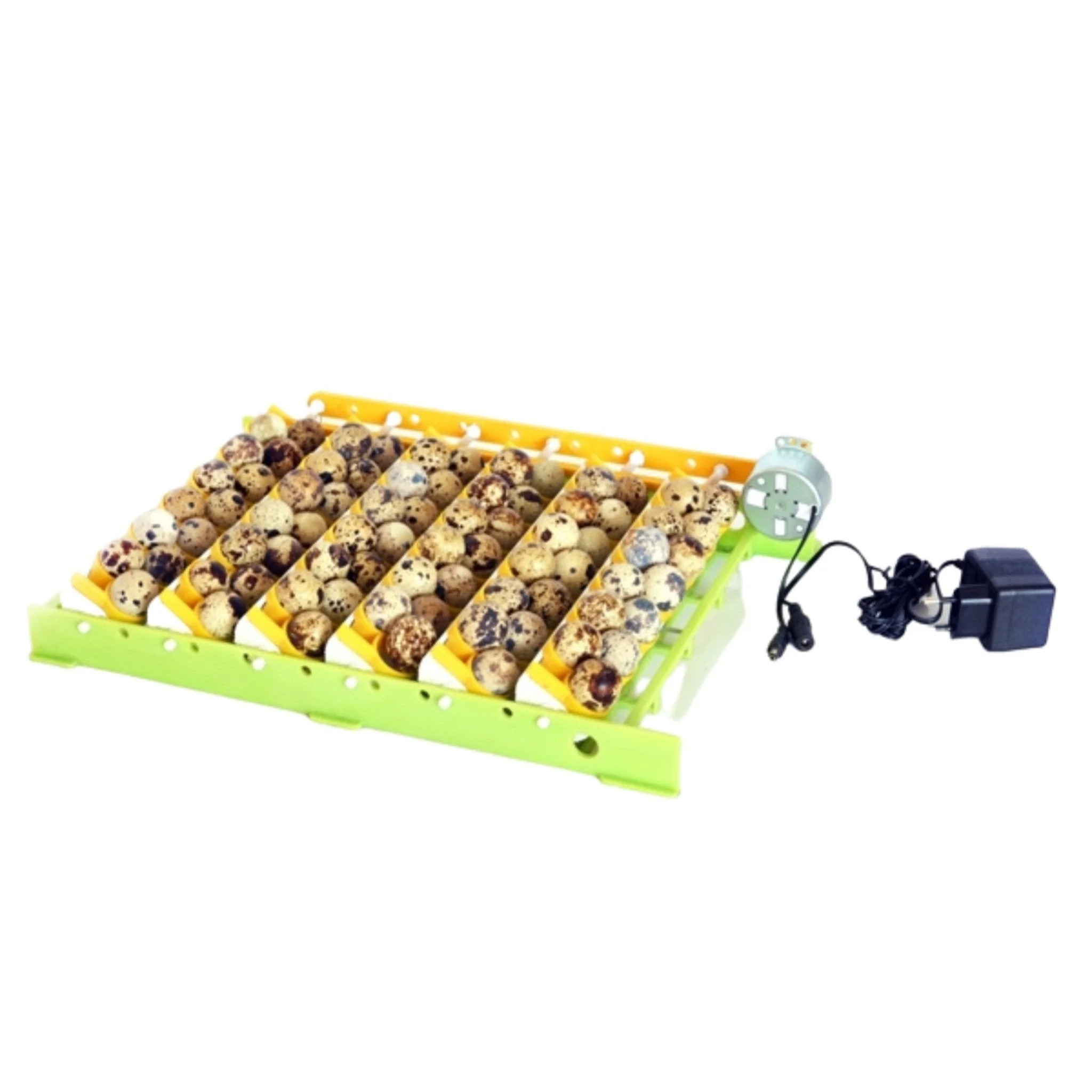 Quail Egg Rack - Attaches to Conturn Egg Setter - Image 2