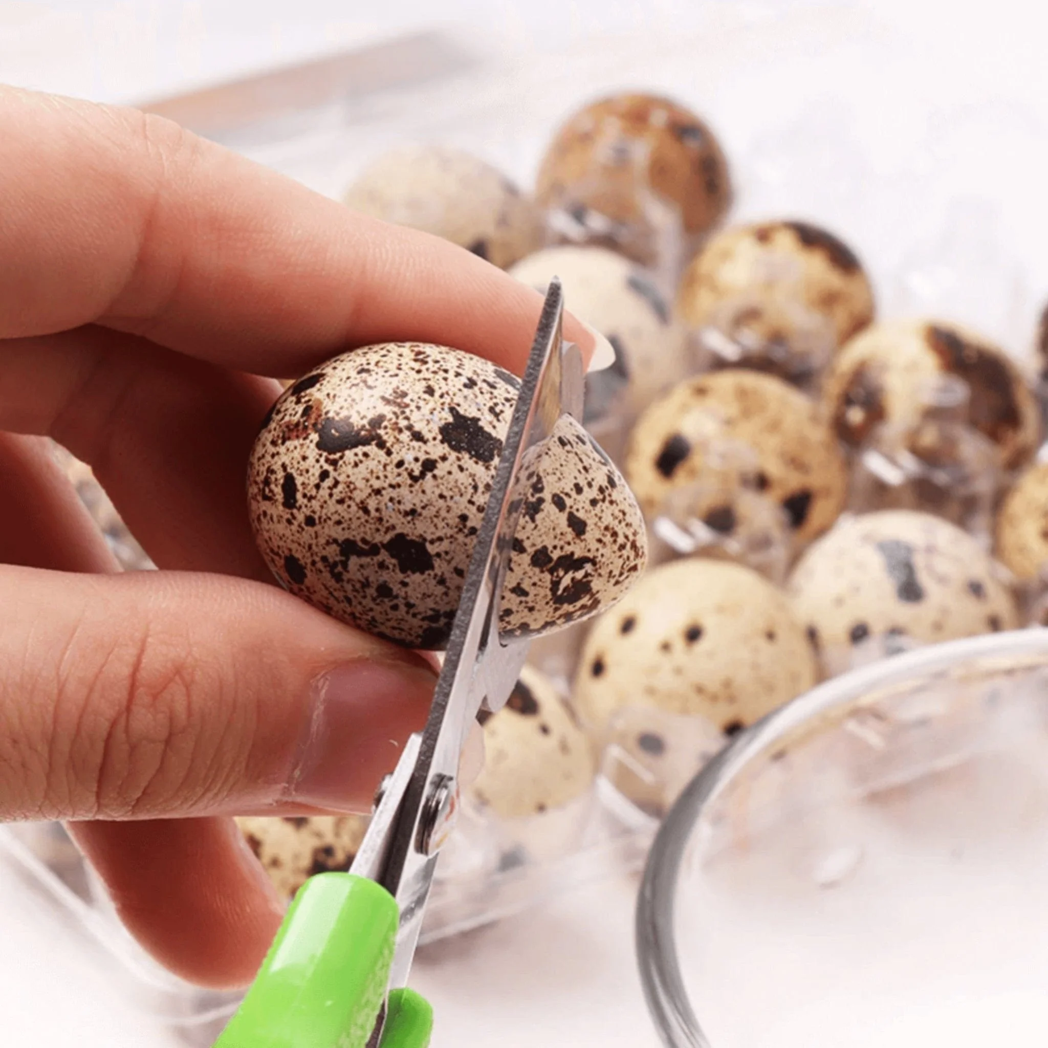 Quail Egg Scissors - Image 5