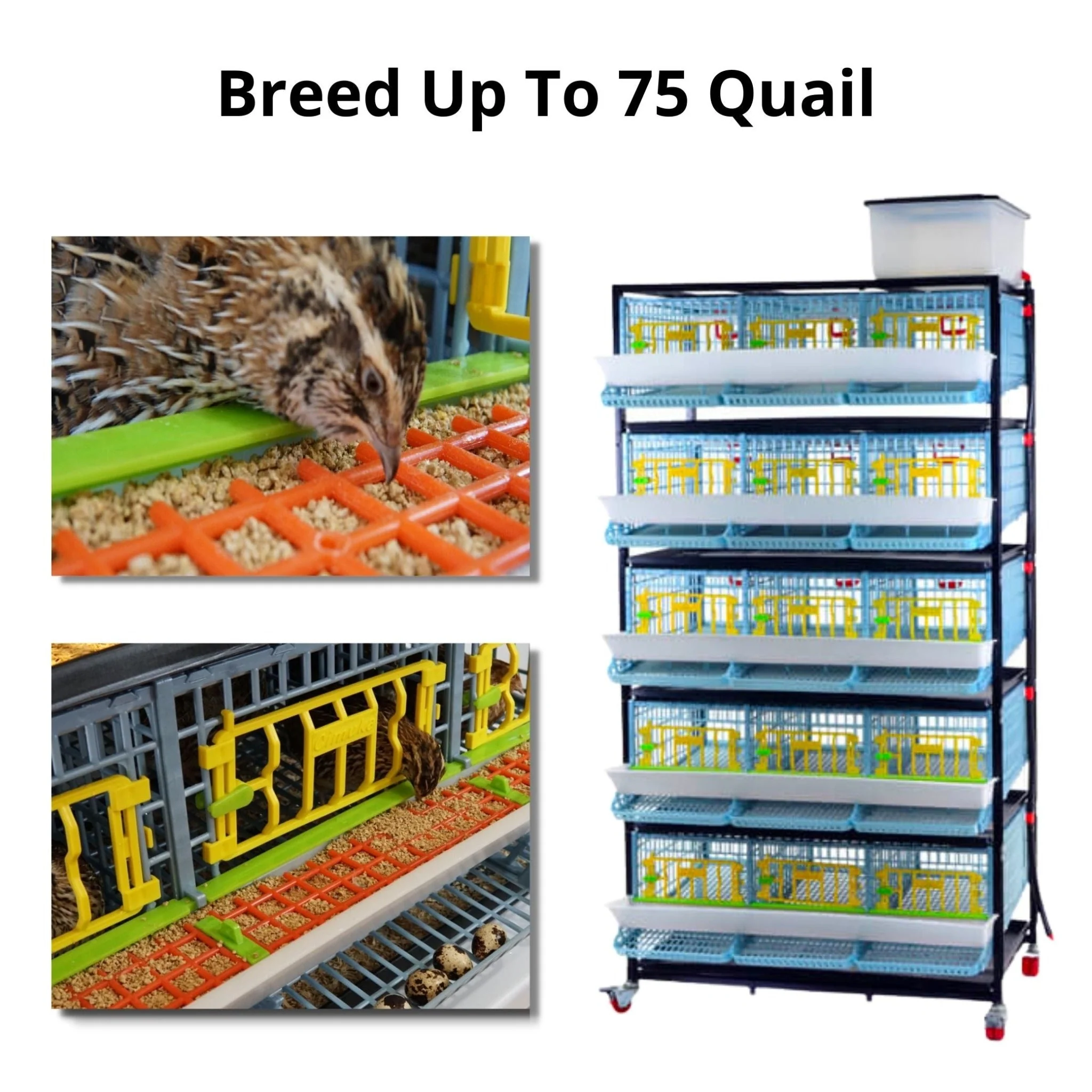 Quail Pro Plus Kit - End To End Process - Image 2