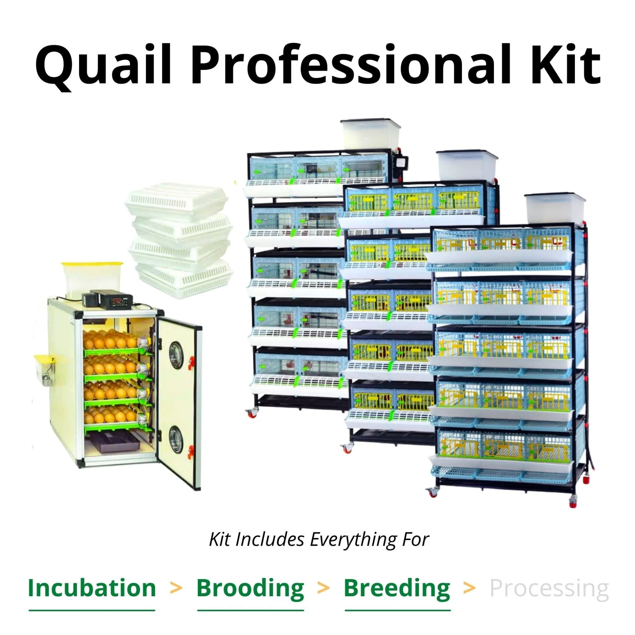 Quail Professional Kit