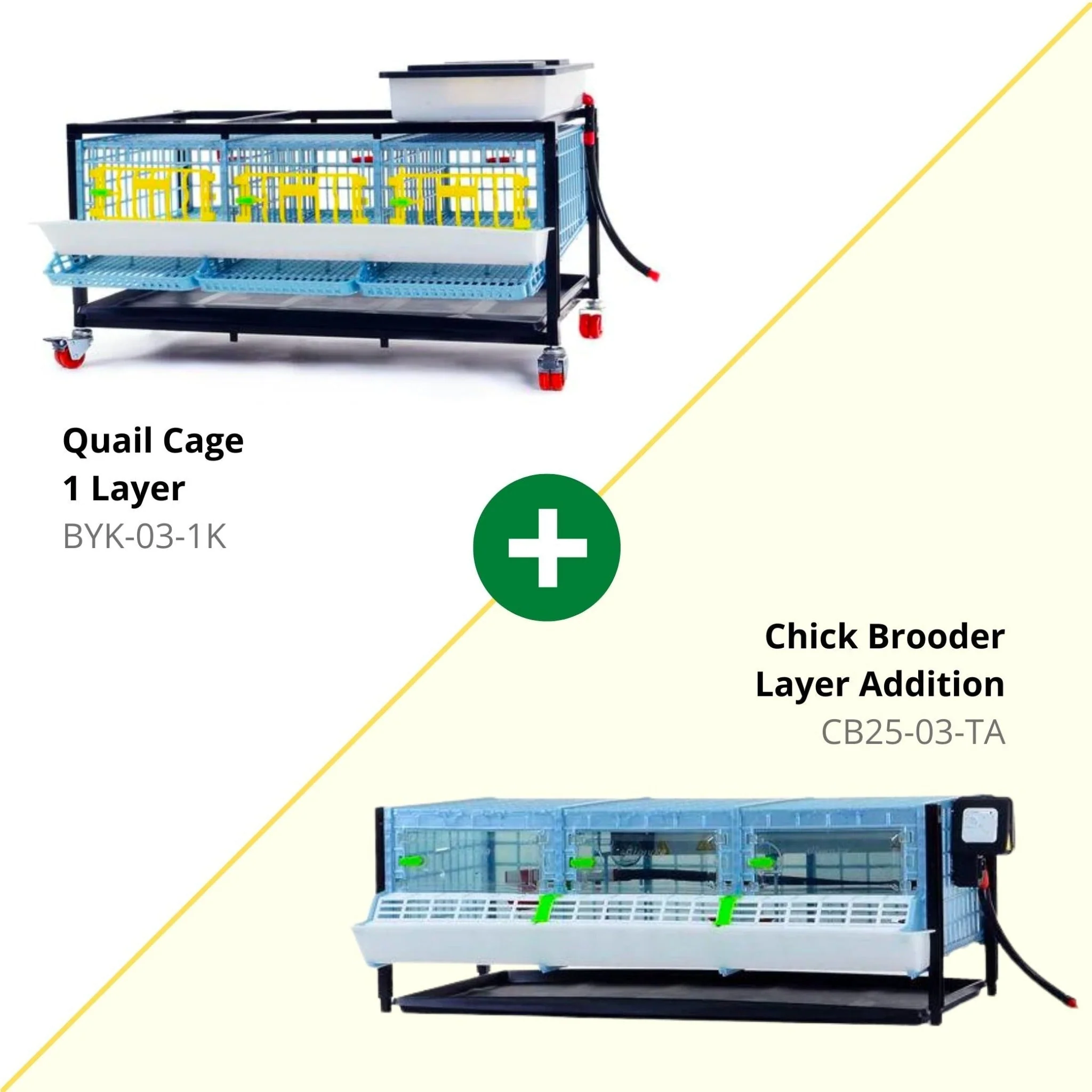 Quail Starter Kit - Image 3