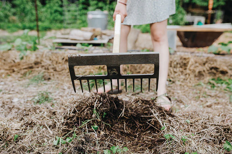 RAKE/HOE - Image 2