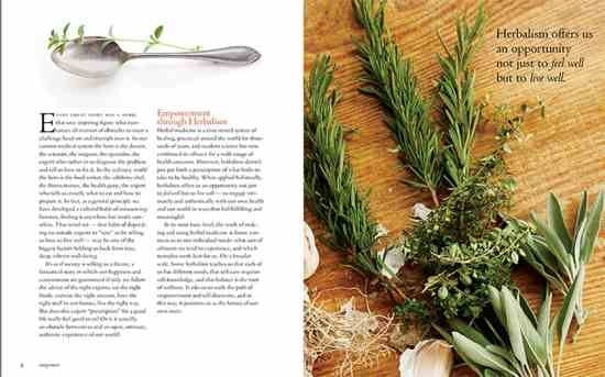 Recipes From the Herbalist's Kitchen - Image 7
