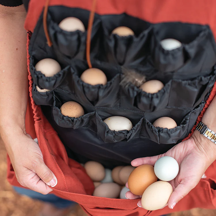 Roo-Ster Egg Collecting Apron - Image 3