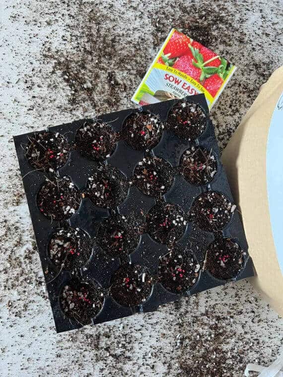 Seedling Mix for Seed Starting - Image 2