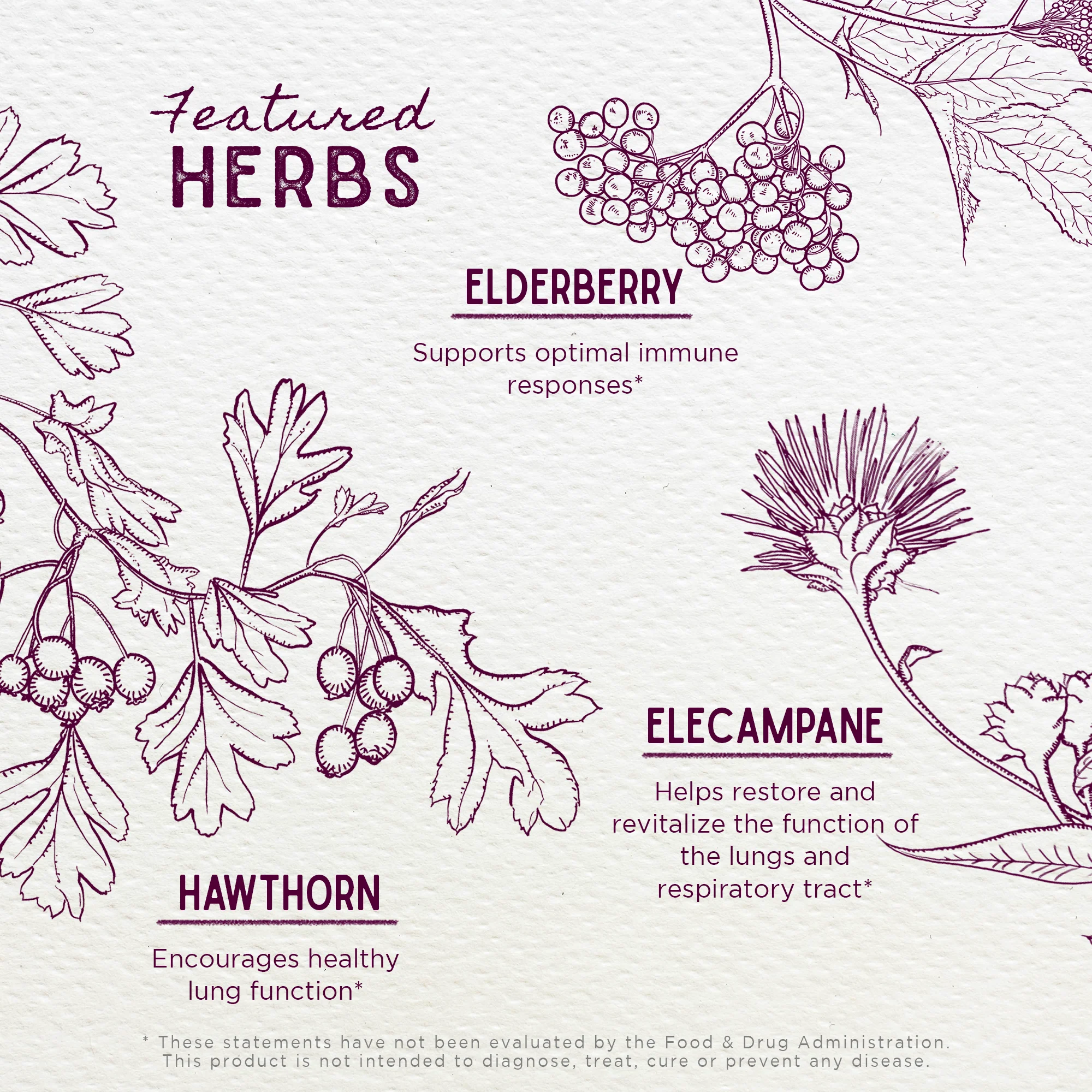 Serious AM Cough Soothing Syrup - Image 3