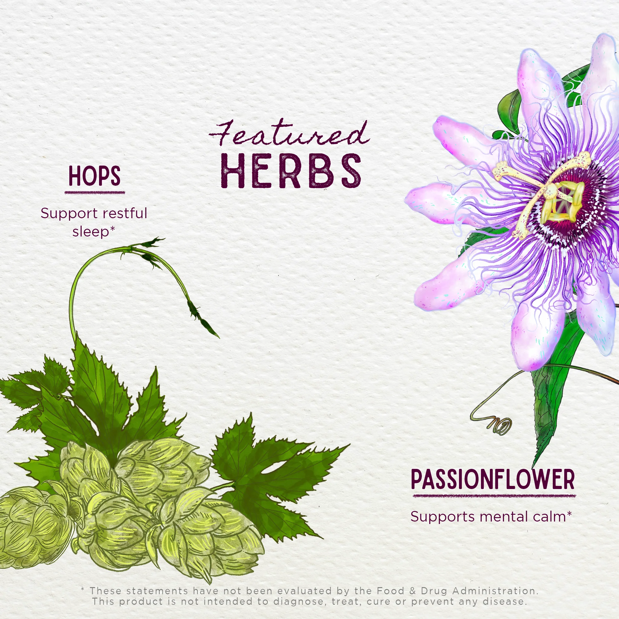 Serious PM Cough Soothing Syrup - Image 3