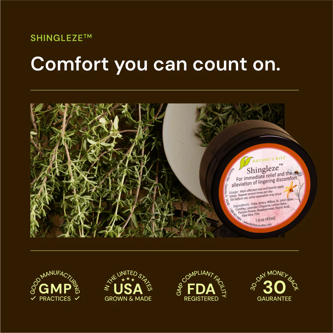 Shingleze - Image 6