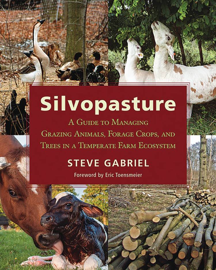 Silvopasture