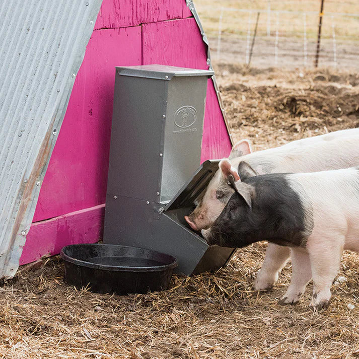 Single Door Hog Feeder - Image 2