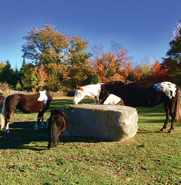 Slow Bale Buddy - Image 11