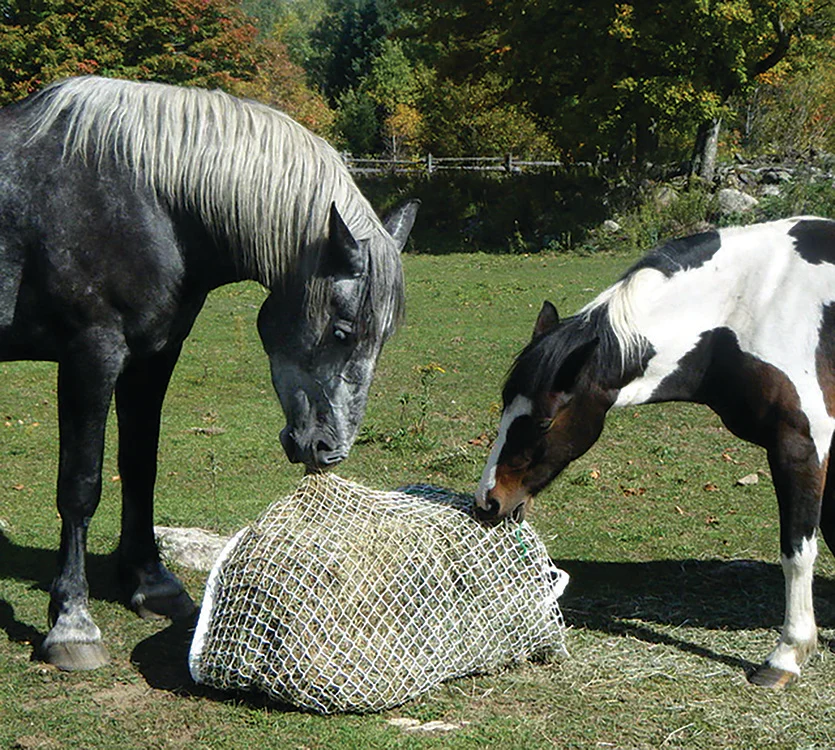 Slow Bale Buddy - Image 2