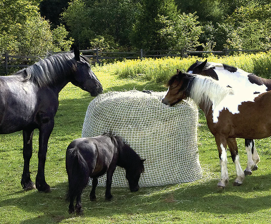 Slow Bale Buddy - Image 4