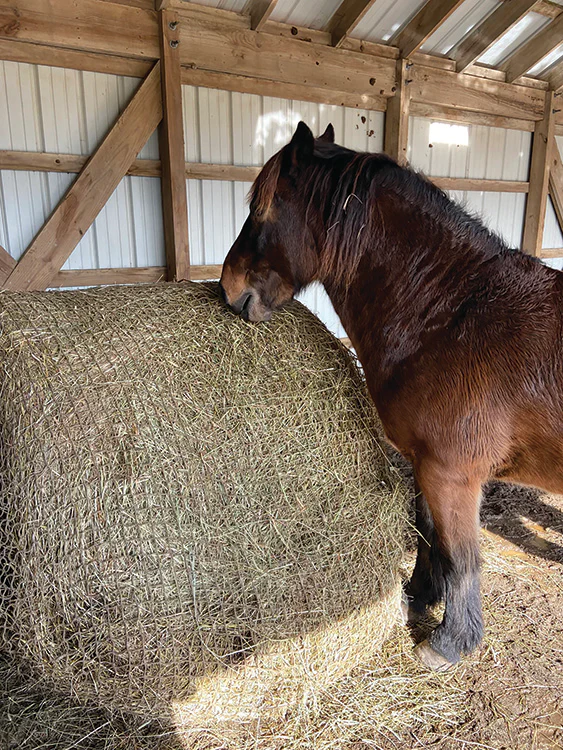 Slow Bale Buddy - Image 6