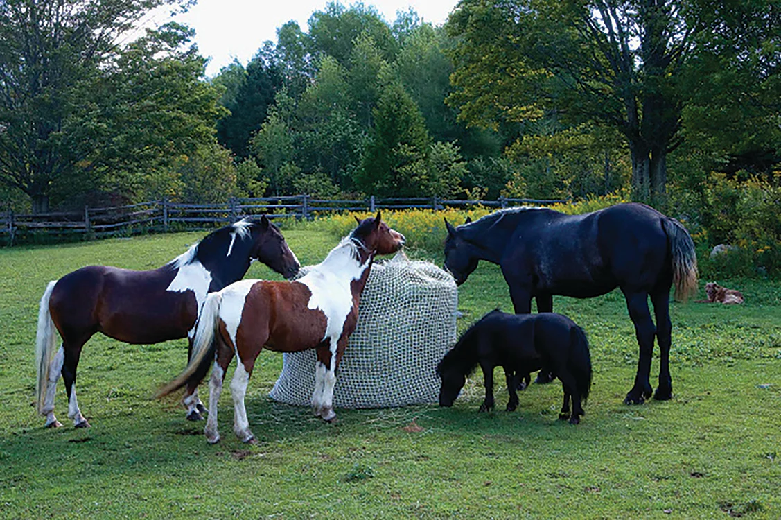 Slow Bale Buddy - Image 7