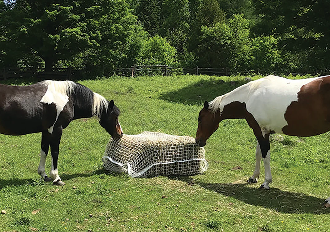 Slow Bale Buddy - Image 9