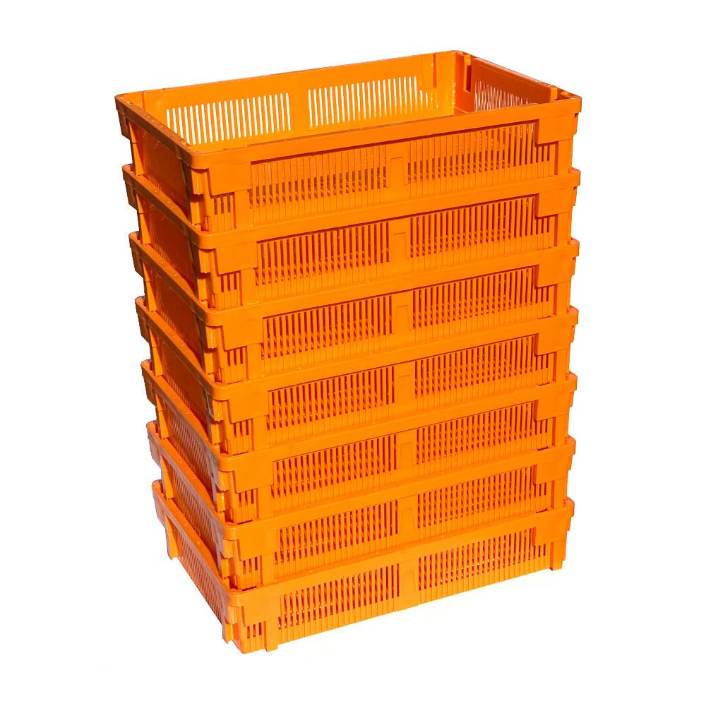 Small Chick Basket (80 Chicks) - Image 2