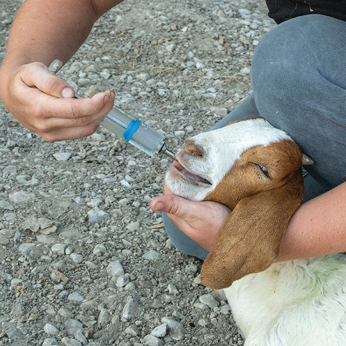 Small Flock Drencher - Image 2