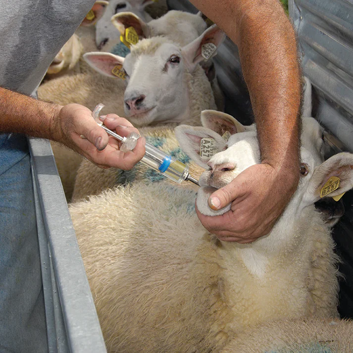 Small Flock Drencher - Image 5