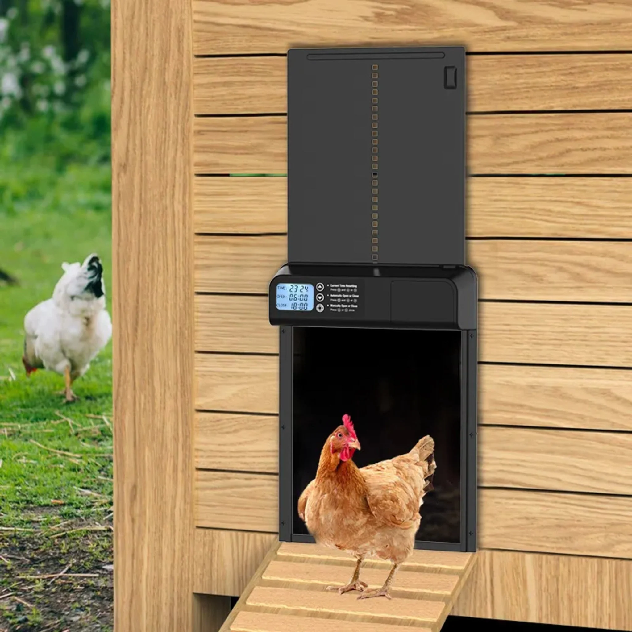 Smart Auto Chicken Coop Door with Timer - Image 2