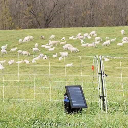 Solar Intellishock Energizer Kit - Image 5