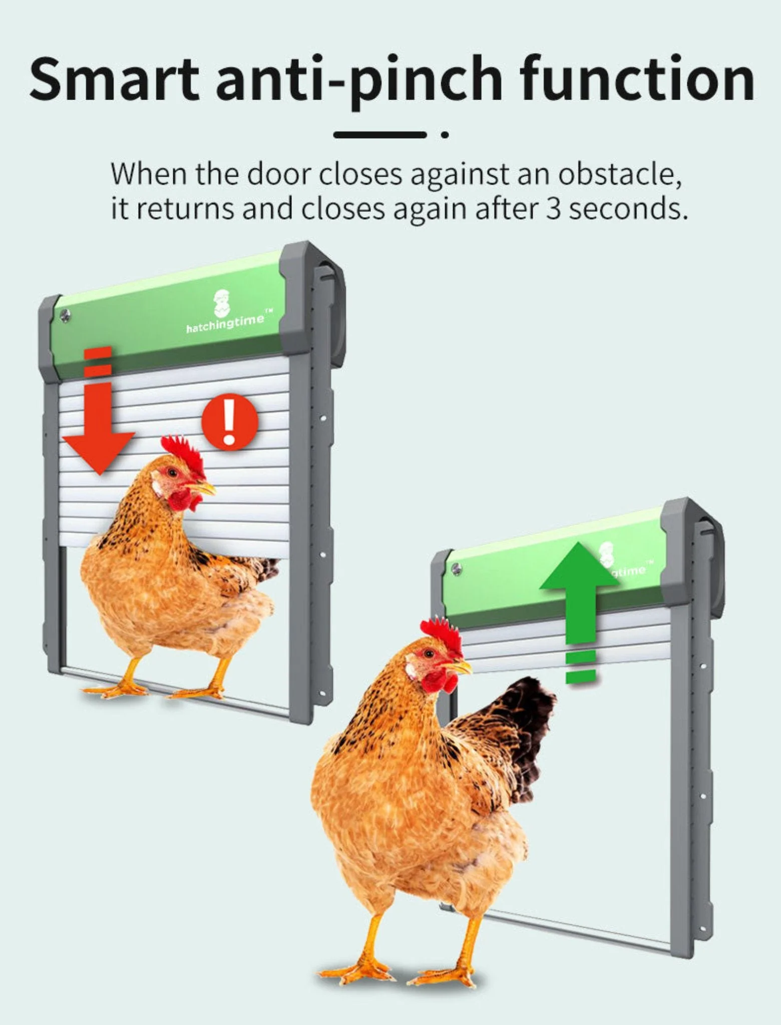 Sungate Solar Powered Automatic Chicken Coop Door with Remote - Image 4