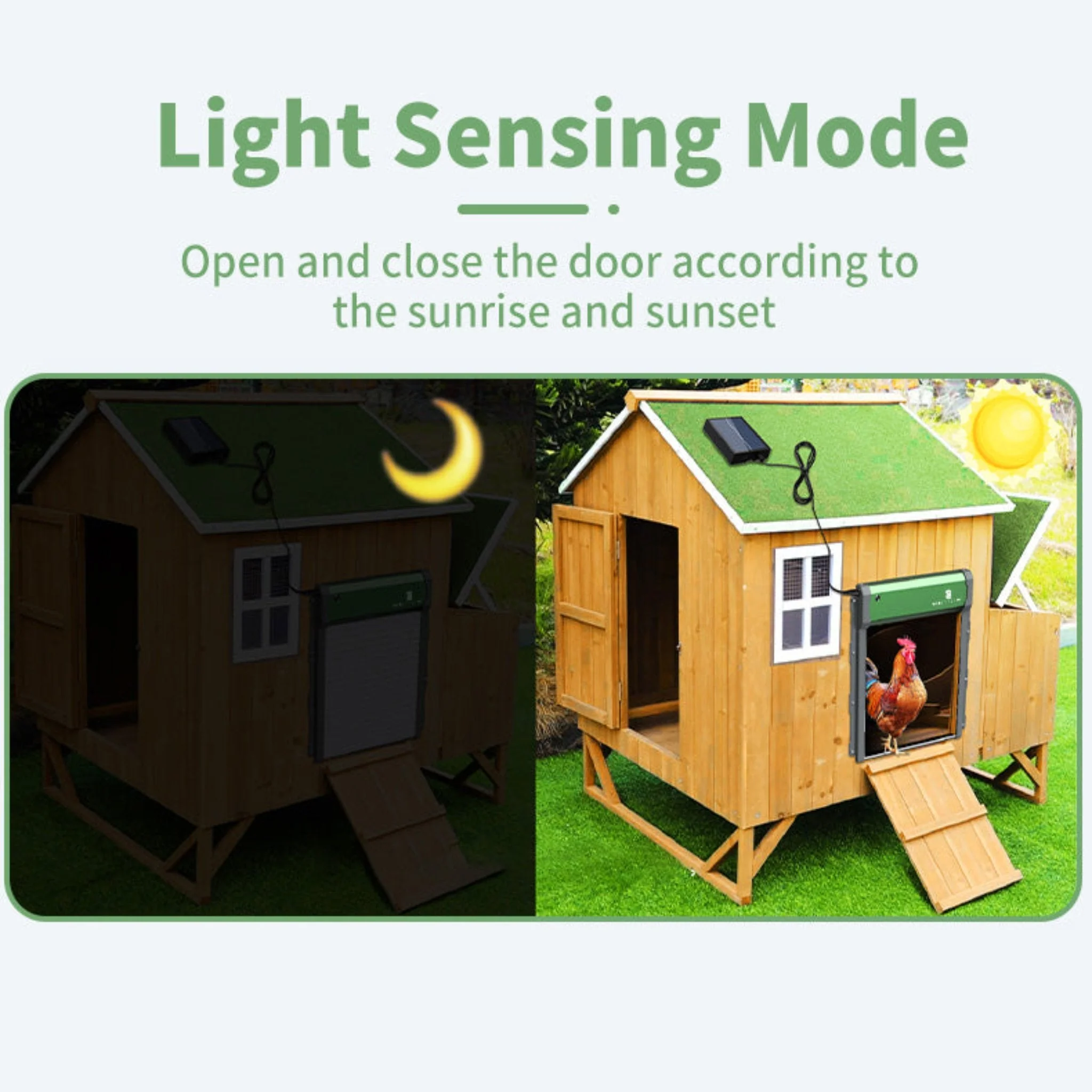 Sungate Solar Powered Automatic Chicken Coop Door with Remote - Image 6