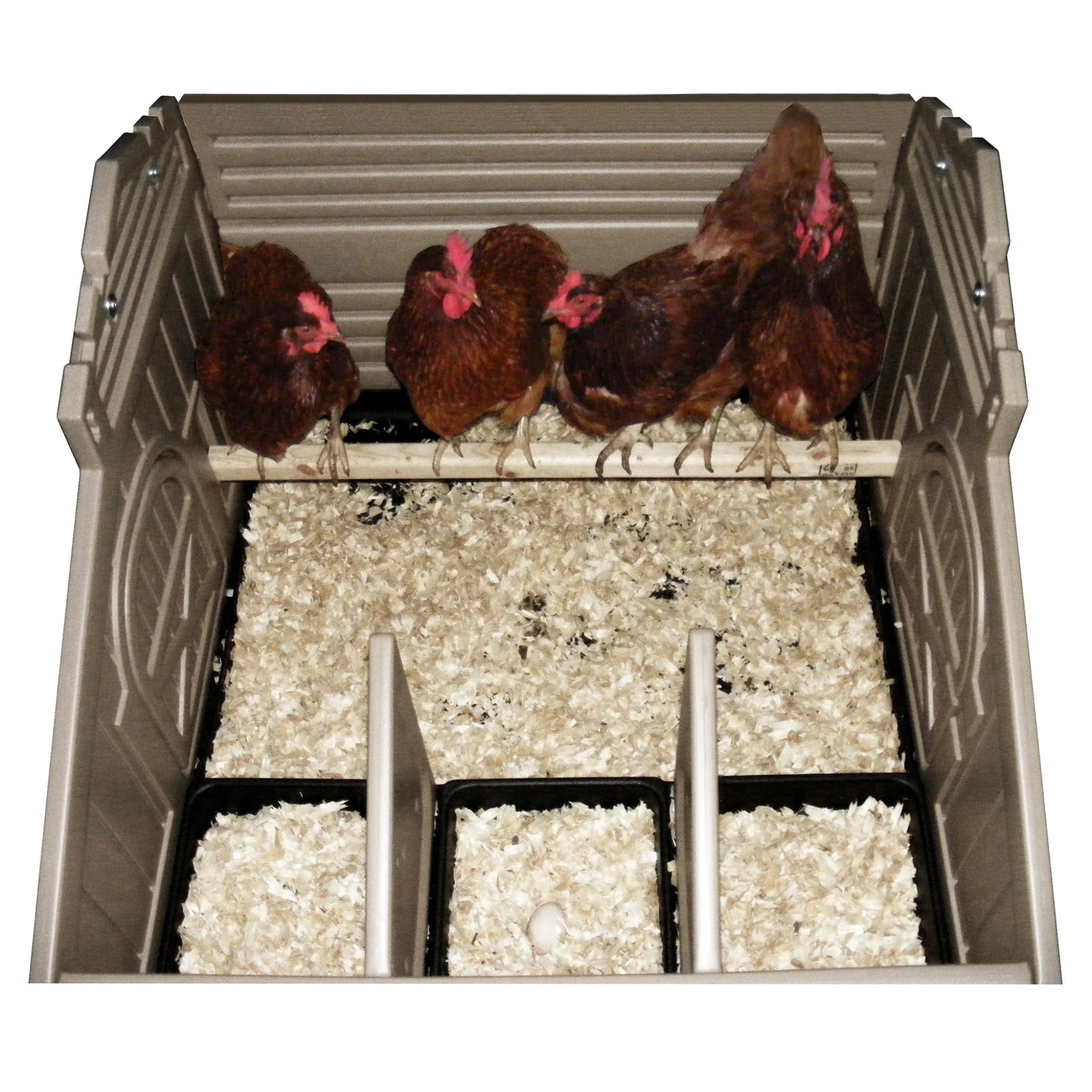 Standard Chicken Coop (4 Bird) - Image 2