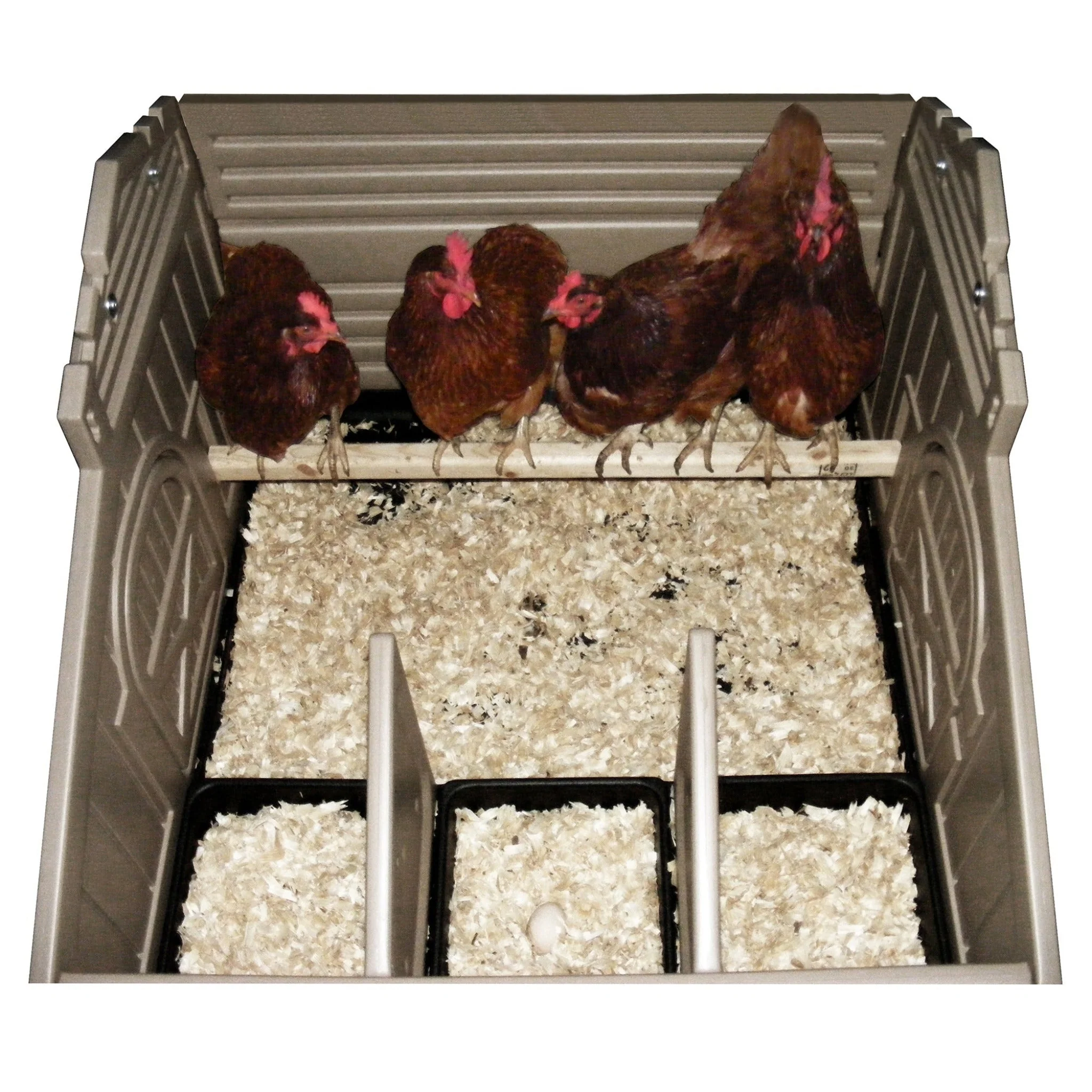 Standard Chicken Coop with Stand and Stairs & Run - Image 6