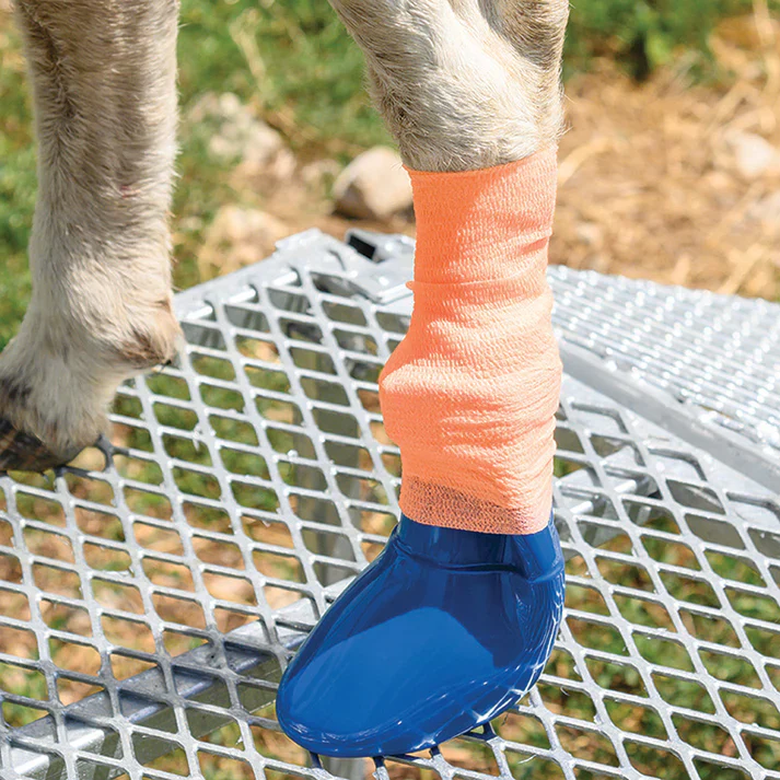Sureflexx Elastic Bandage Wrap - Image 2