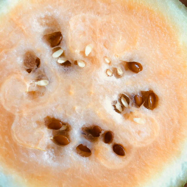Sweet Siberian Watermelon - Image 2