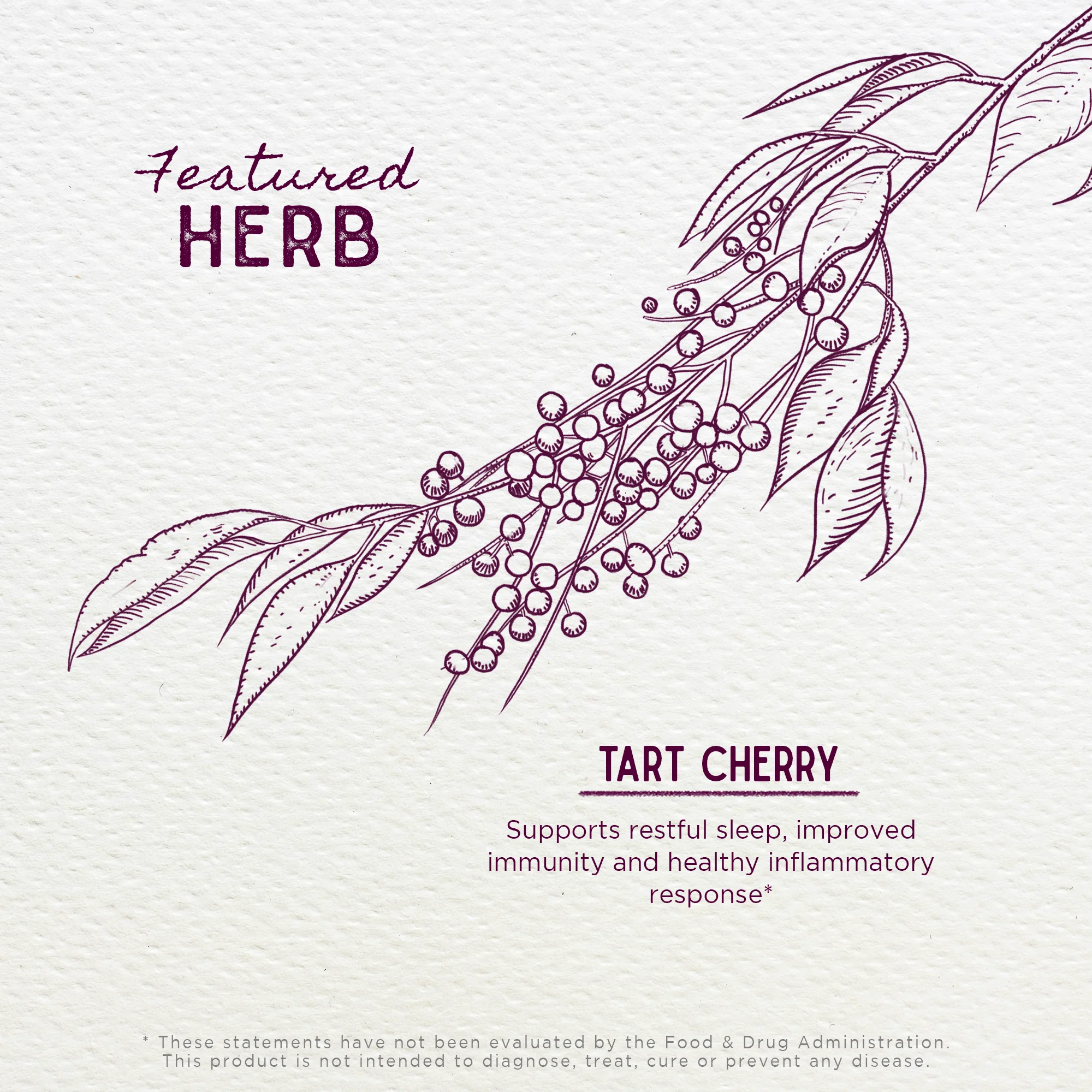 Tart Cherry - Image 3
