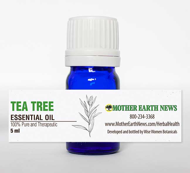 Tea Tree Essential Oil - Image 2
