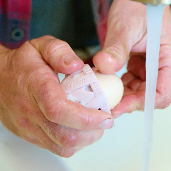 The Full Eggcellent Kit - Image 2