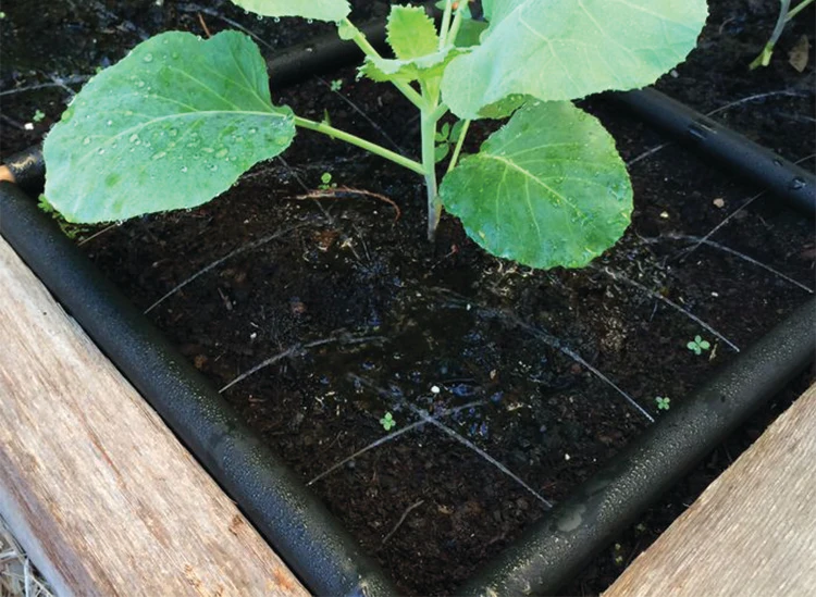 THE GARDEN GRID™ WATERING SYSTEM - Image 10