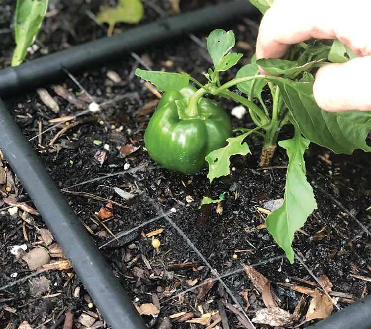 THE GARDEN GRID™ WATERING SYSTEM - Image 8