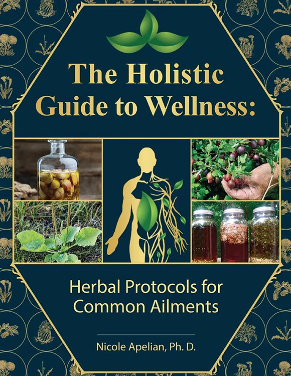 The Holistic Guide To Wellness: Herbal Protocols For Common Ailments
