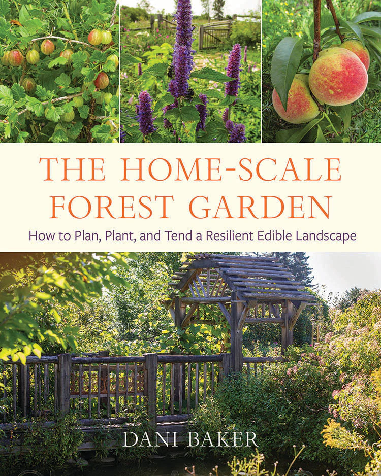 The Home-Scale Forest Garden: How To Plan, Plant, And Tend A Resilient Edible Landscape