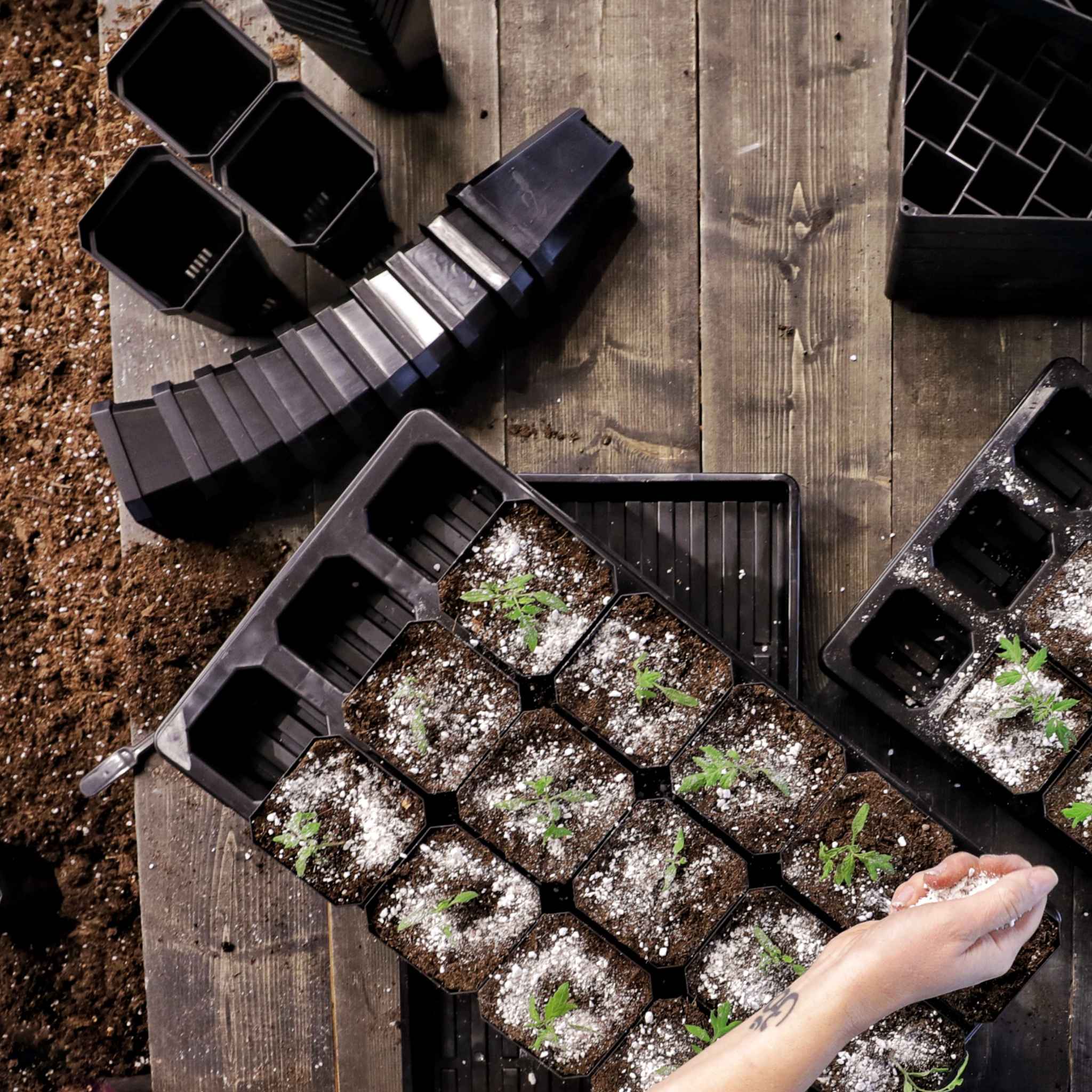 The Market Gardener Seed Starting Bundle - Image 3