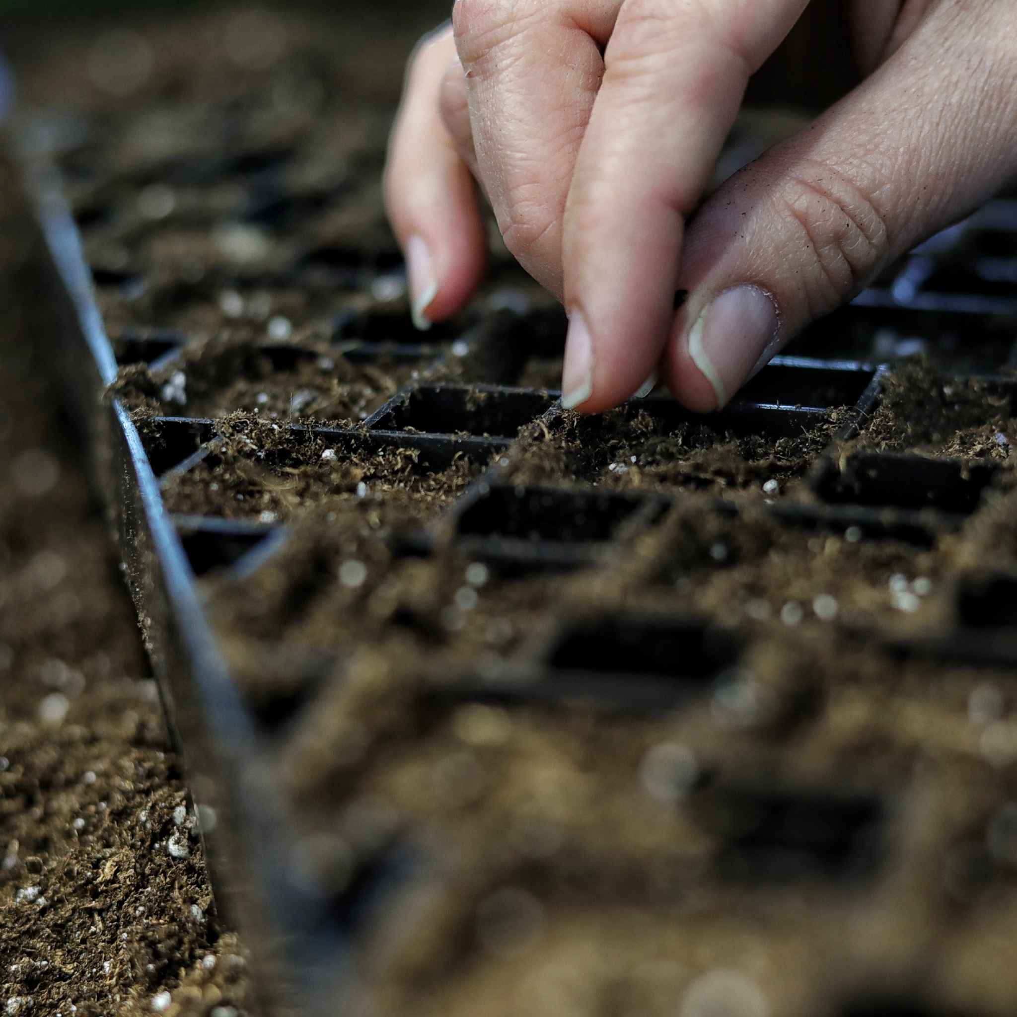 The Market Gardener Seed Starting Bundle - Image 7