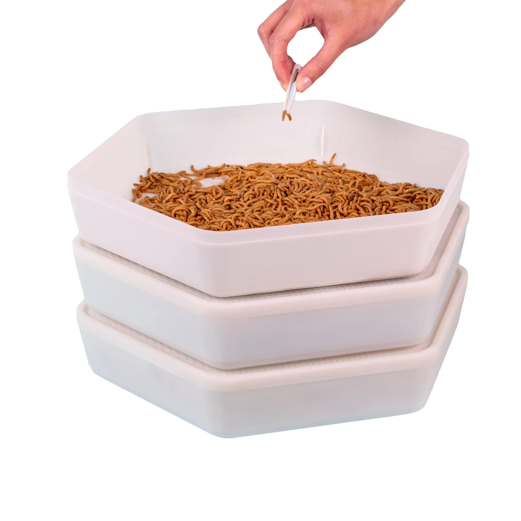 The Mealworm Growing Pods - Image 2
