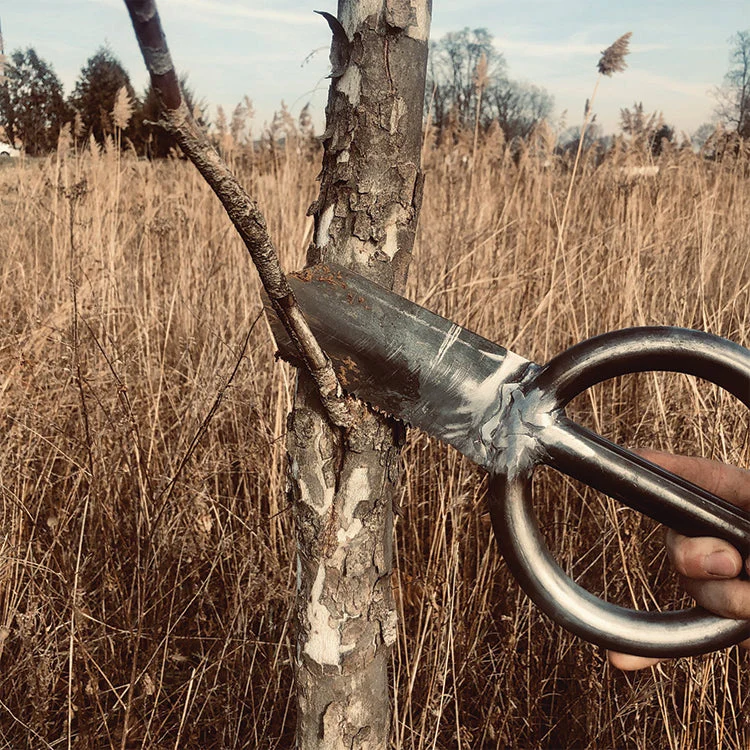 THE SOIL KEY - Image 2