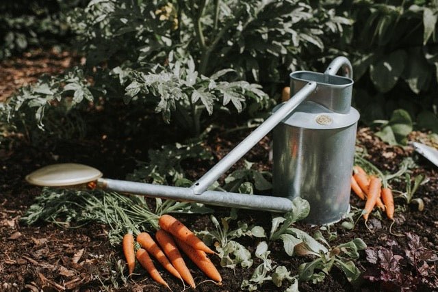 The Warley Fall - Two Gallon HDG in Galvanized - Image 2
