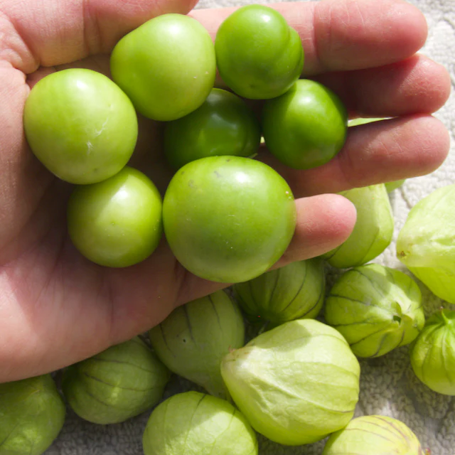 Tomatillo Verde
