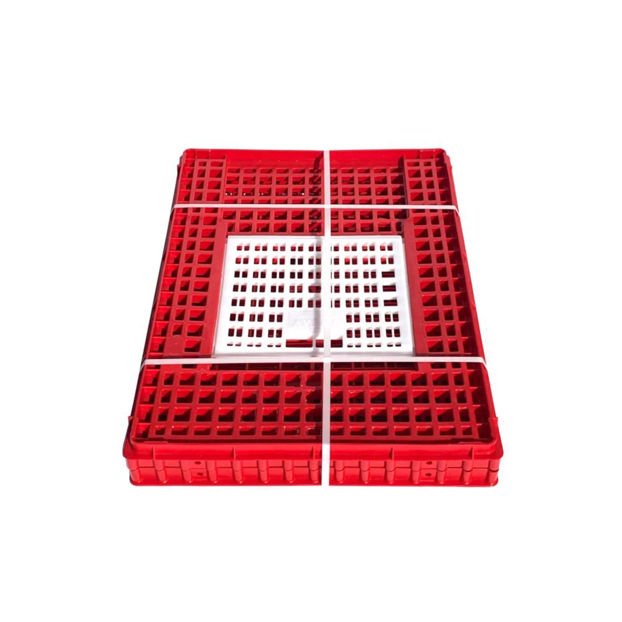 Transport Coop (Small, Deep) Top Door - Chicken - Image 2