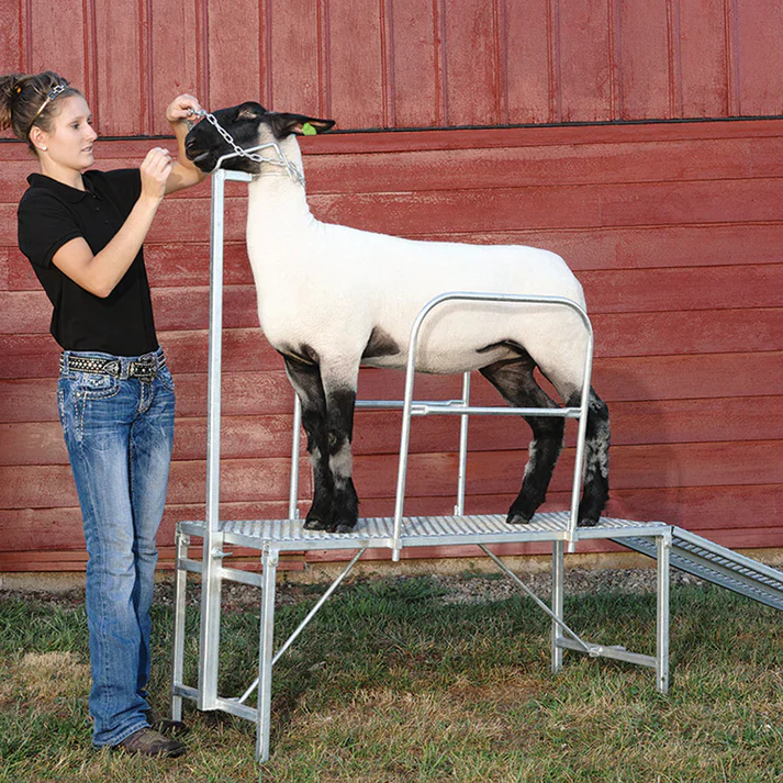 Trimming Stand Kit - Image 2