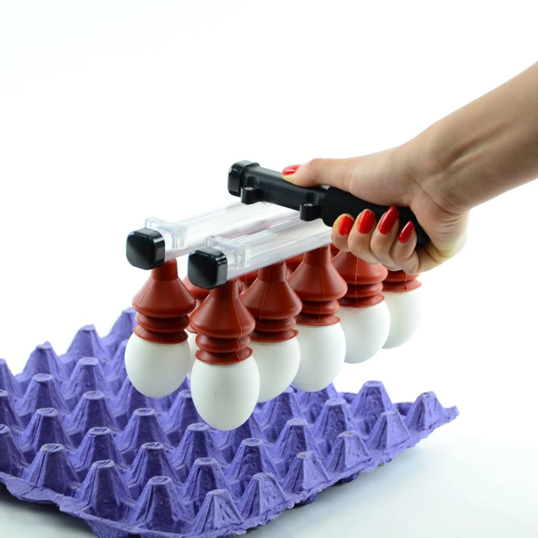 Vacuum Egg Lifter (10 Eggs) - Manual - Image 2