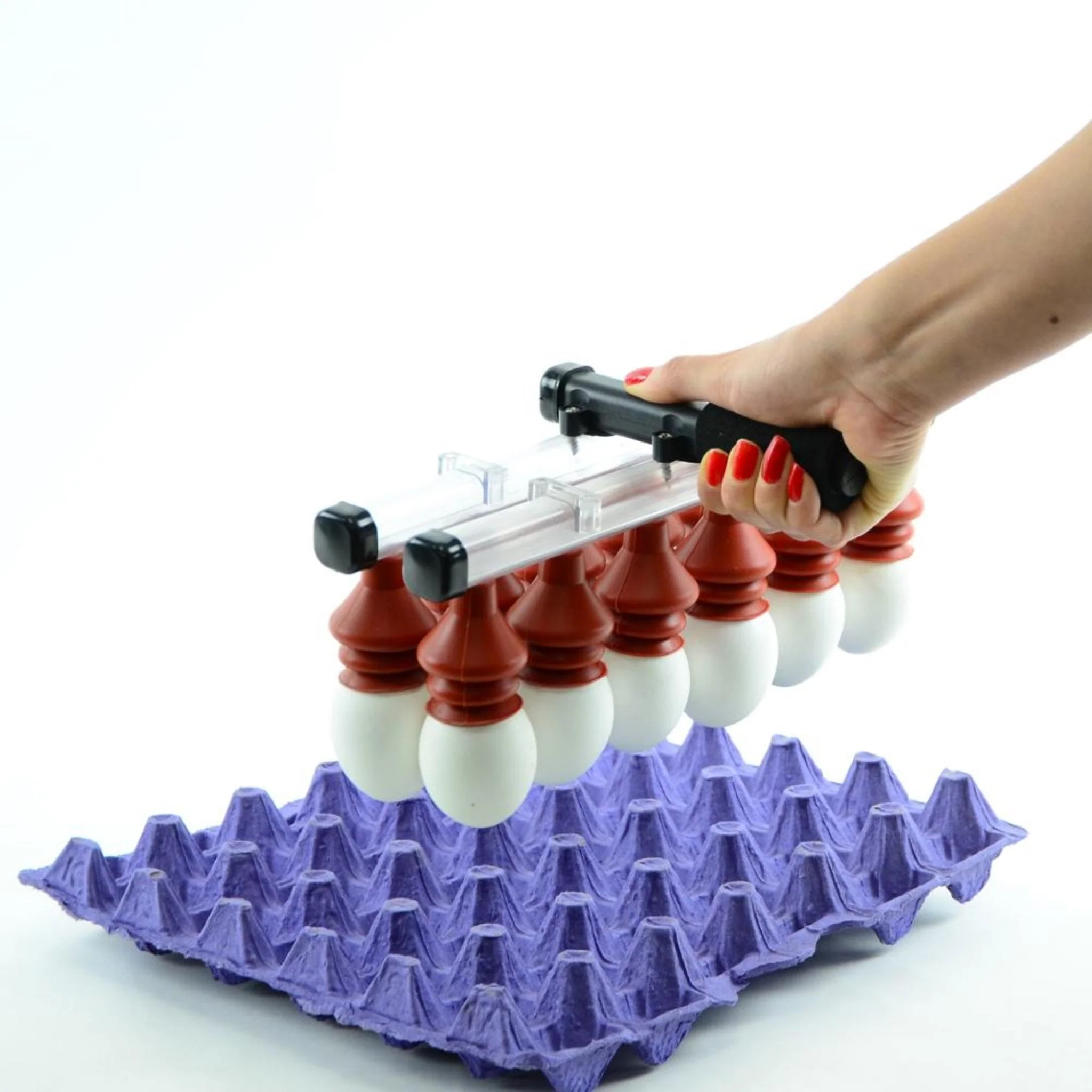 Vacuum Egg Lifter (12 Eggs) - Manual - Image 2
