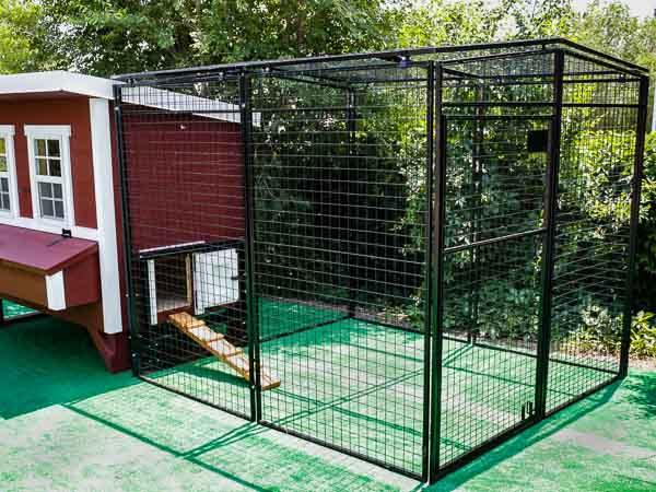 Walk-In 8 ft. Chicken Run (6'6"W x 7'6"L x 6'3"H) - Image 2